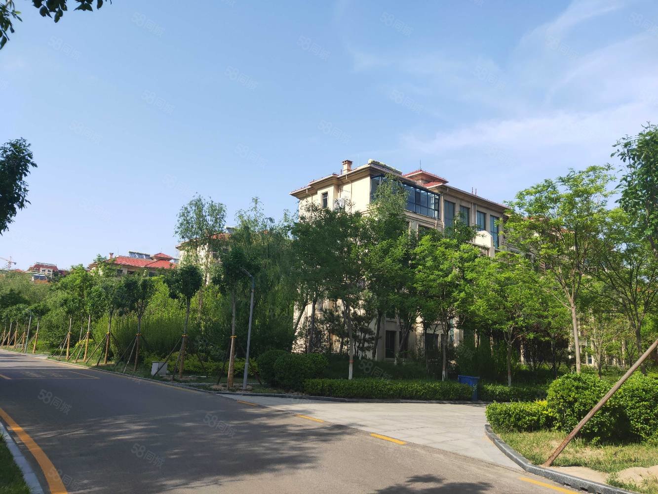 滨海新区未来大厦上书房电梯房2室46万已出税,上书房(寒亭)-潍坊58