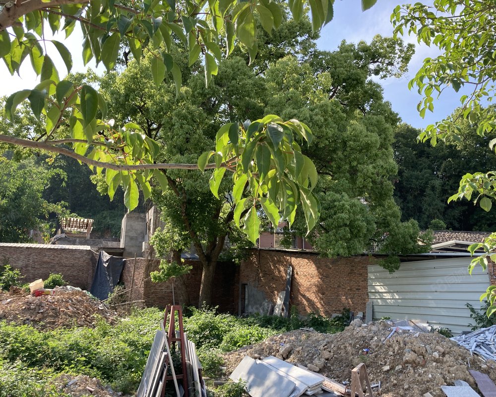 【闽侯后山村自建房, 闽侯后山村自建房小区详情,房价走势,房源,业主