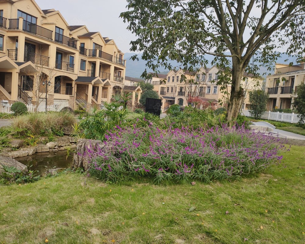 【利雅白云湖, 利雅白云湖小区详情,房价走势,房源,业主论坛】- 重庆