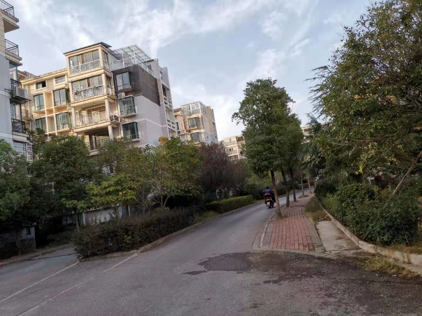 半岛豪园 正规小区 精装修 南北通透 进贤新区 拎包入住