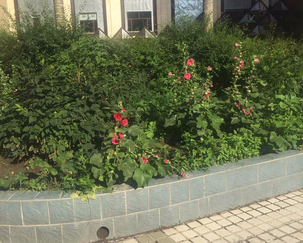 【中山花园, 中山花园小区详情,房价走势,房源,业主论坛】- 长春58