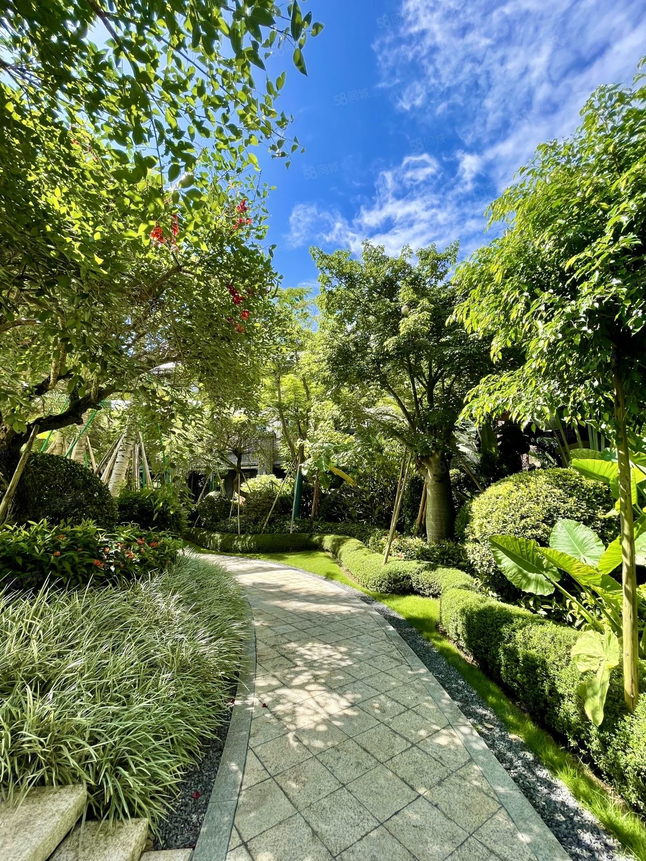 雨林时光3室2厅2卫120㎡南北82万