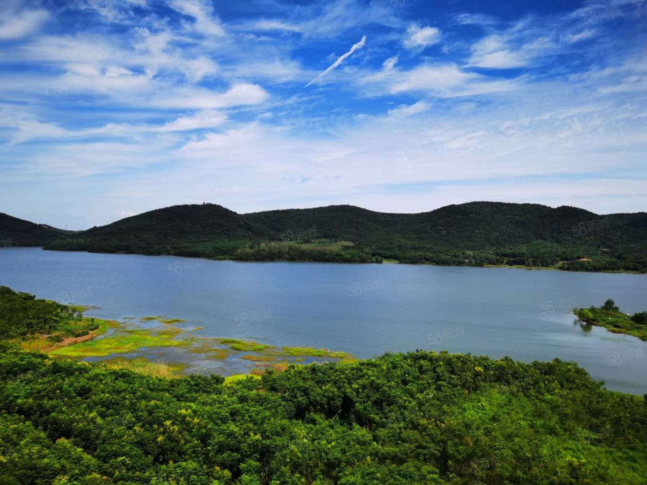 碧桂园如山湖城(别墅)5室3厅4卫210㎡南北108万