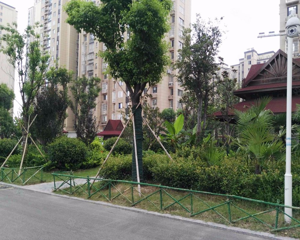 【煌庭棕榈湾, 煌庭棕榈湾小区详情,房价走势,房源,业主论坛】- 徐州