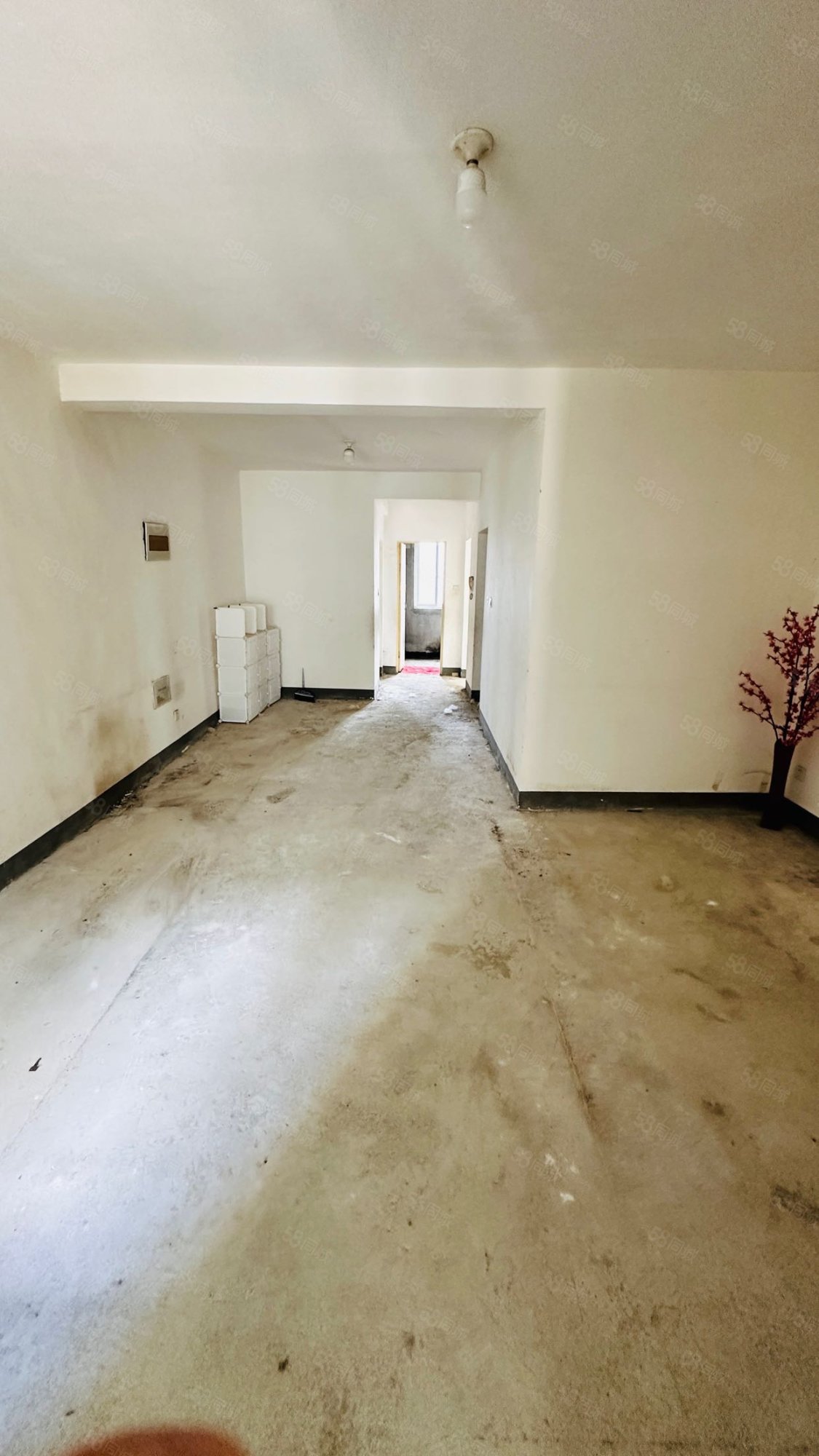 紫苑花园2室2厅1卫86㎡南21万