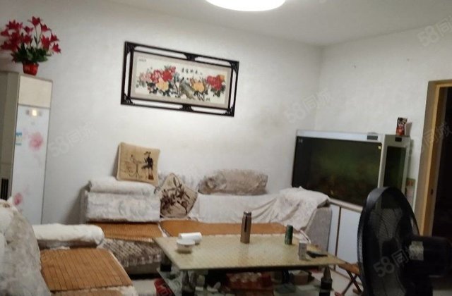 香江急售3室全明户型仅售水岸新城新城邦实验九中