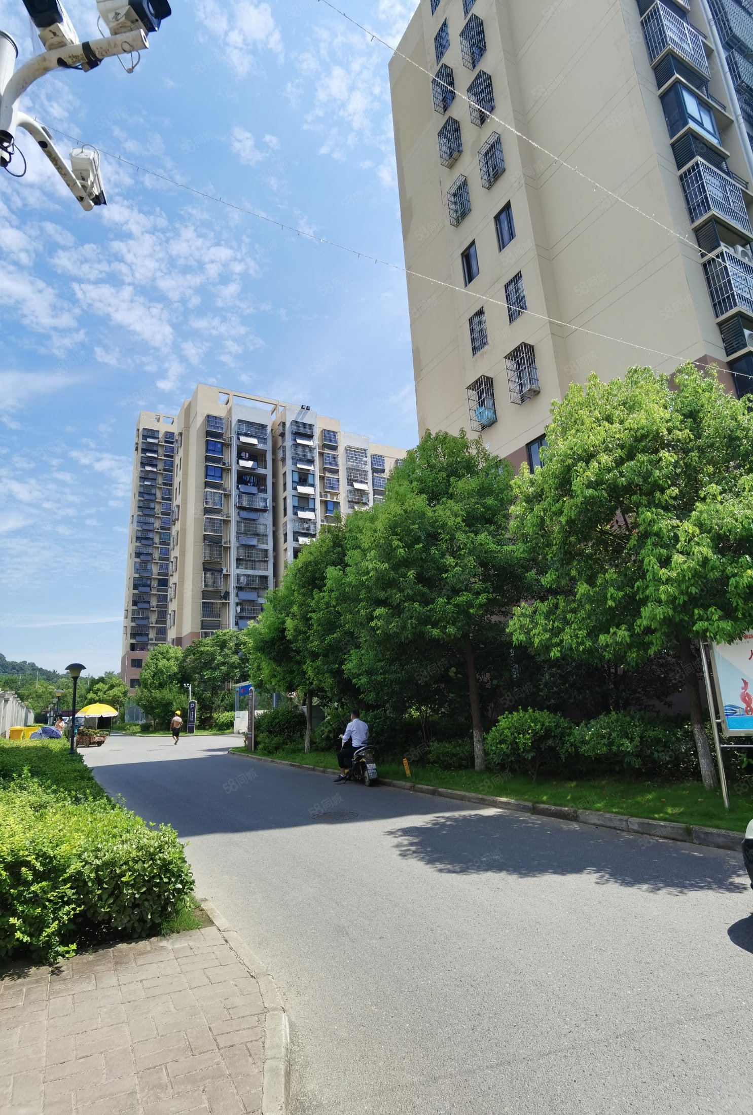 西城西苑3室2厅1卫125.39㎡南北105万