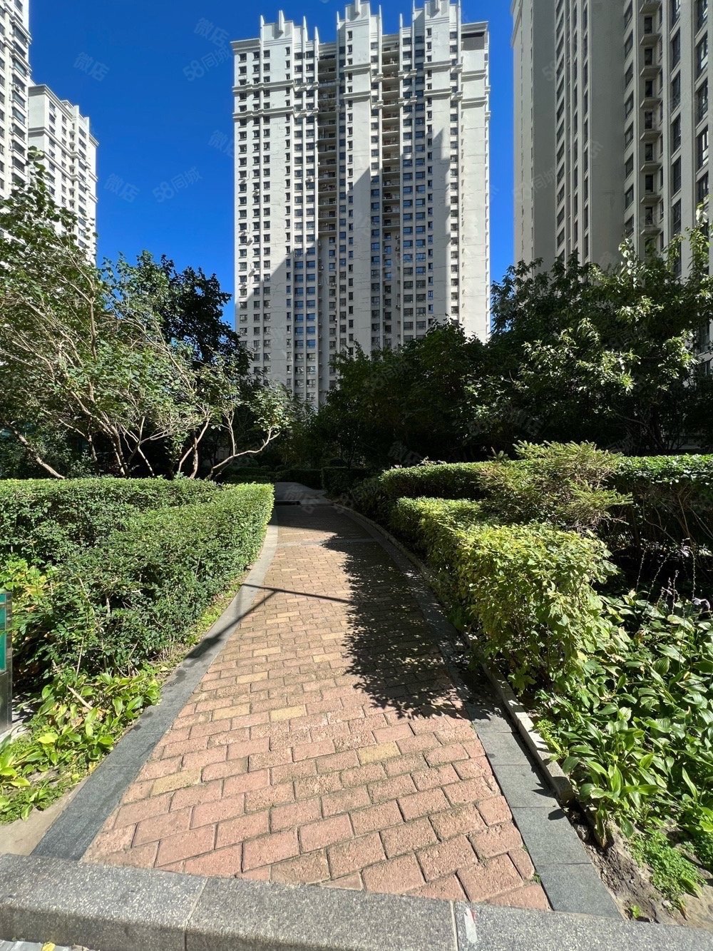 海富金棕榈4室2厅3卫217.43㎡南北360万