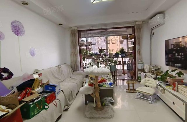 文轩本校！一中！外国语三室两厅双卫带车位免大税可按揭贷款