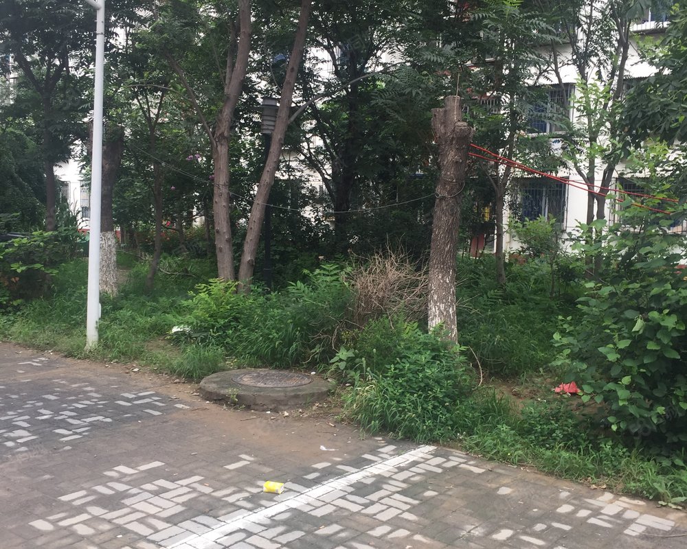 【上庄家园(南区), 上庄家园(南区)小区详情,房价走势,房源,业主论坛