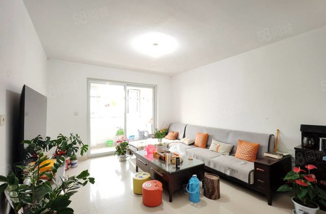 高铁新区集贤小区～59万西文轩好房急售～电梯好楼层采光  ～