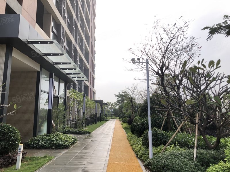 新福港鼎荟2室2厅1卫41㎡南49万