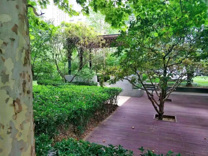 萬(wàn)科公園五號(hào)1室0廳1衛(wèi)56.74㎡東290萬(wàn)