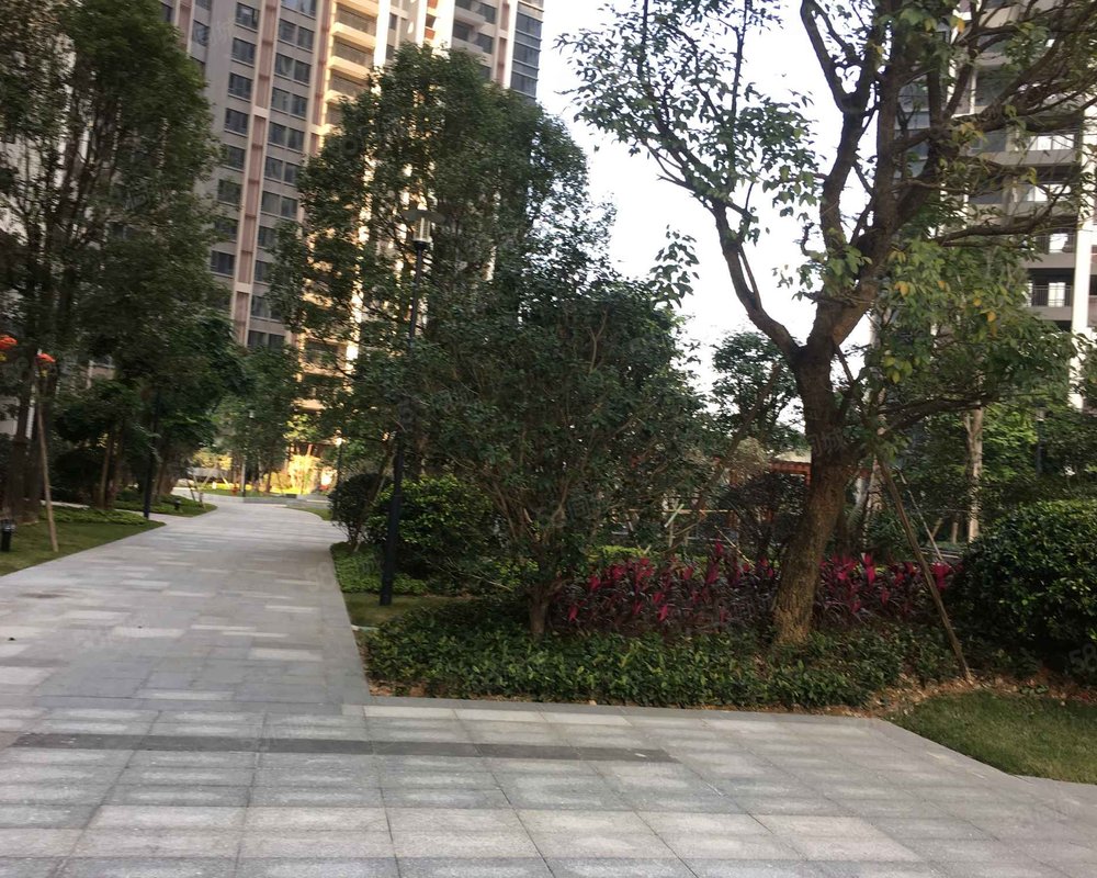 敏捷紫岭国际(一期)小区详情,房价走势,房源,业主论坛】- 中山58同城
