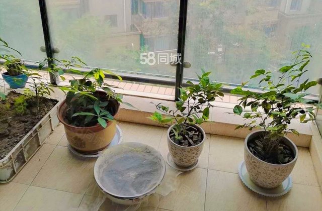 思达大户人家3室2厅91.73㎡116万二手房图片