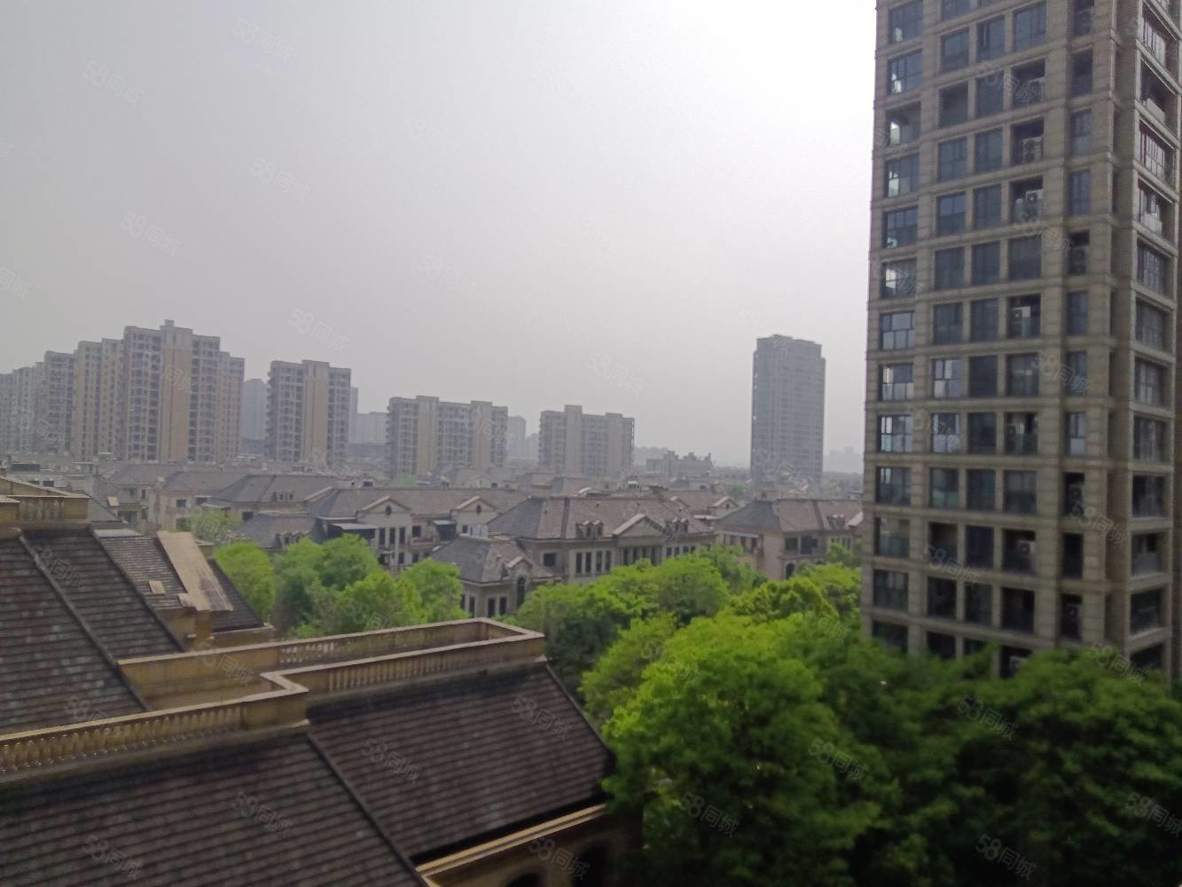 绿城海棠花园3室2厅2卫151.46㎡南366万