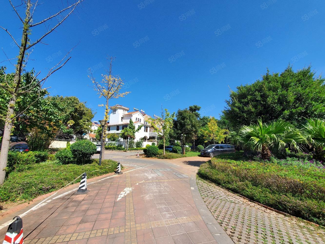 滇池卫城微风岛4室2厅3卫315.32㎡南1180万