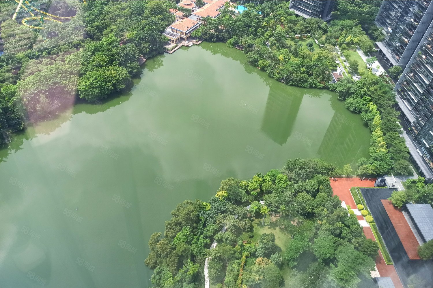 天鹅湖花园二期294平超高楼层丨出诚售