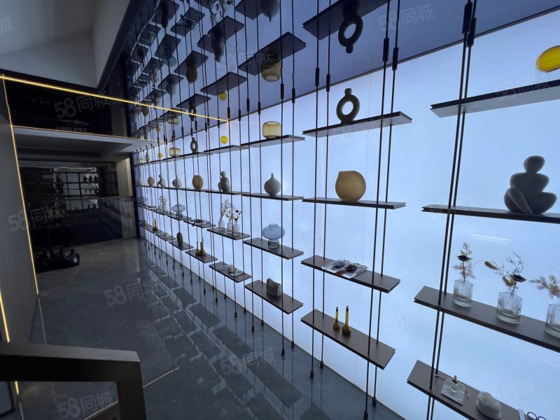 湖边上万景峰汇下叠别墅带私家大花园中庭不临路采光好