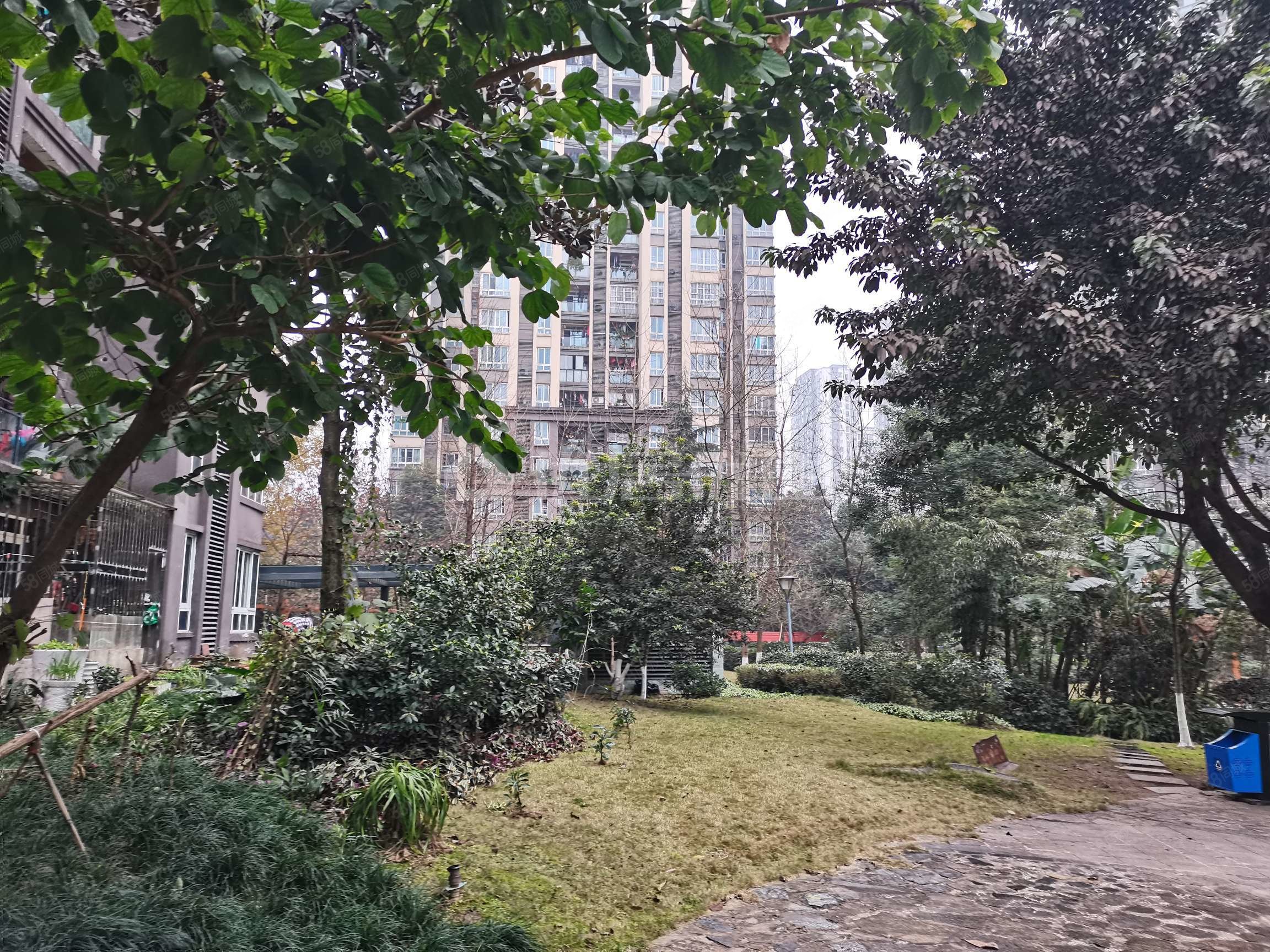 巴国城后门央企大盘精装四房业主诚意出售