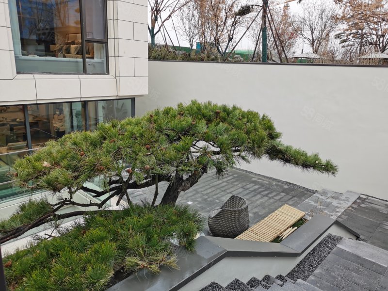 望京北(特价)大面宽 270度采光 富力首开金禧璞瑅