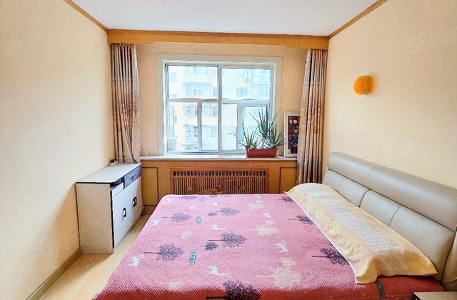 乐东拖拉机宿舍2室1厅61㎡30万二手房图片