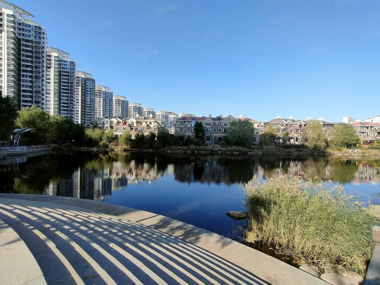 金海湾森林逸城(a区)5室2厅4卫272㎡南北320万