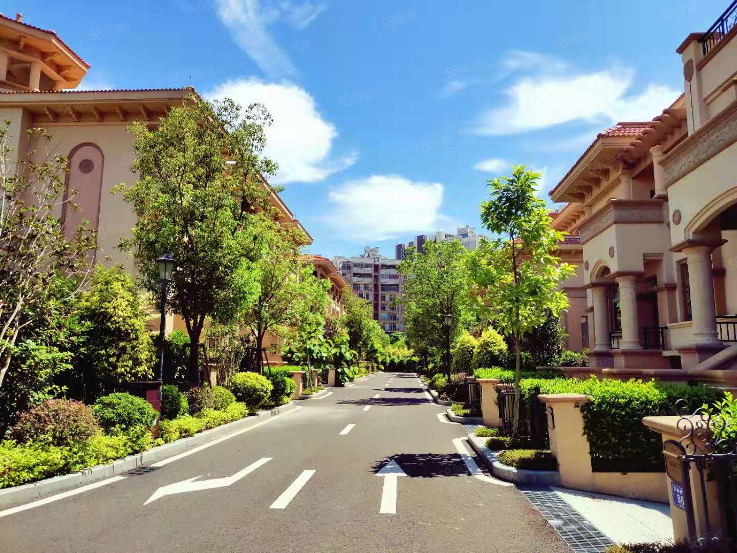 三盛国际海岸(别墅)3室2厅3卫129㎡南北180万