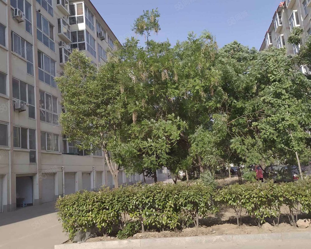 【金鼎花园, 金鼎花园小区详情,房价走势,房源,业主论坛】- 临沂58