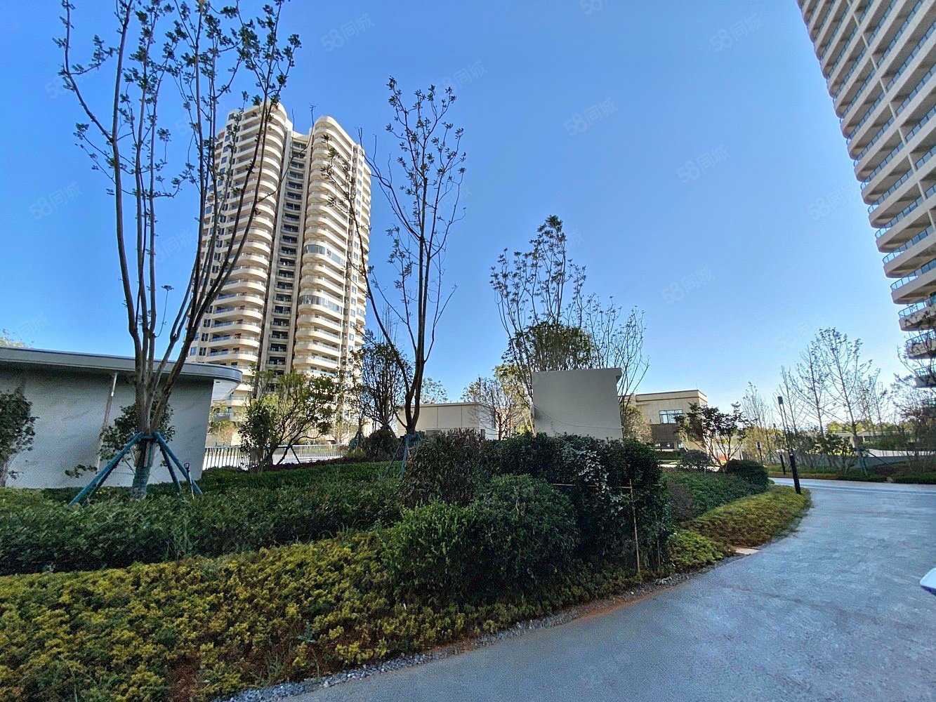 清凤滇池美岸2室2厅1卫88㎡南北62万