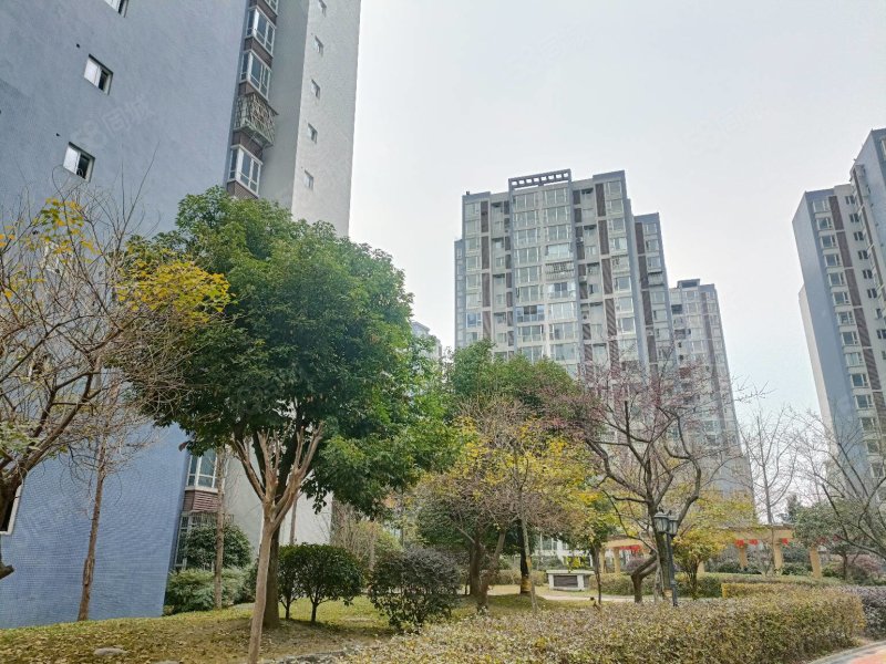 西蜀御景单价6千多南北通透赠送入户花园