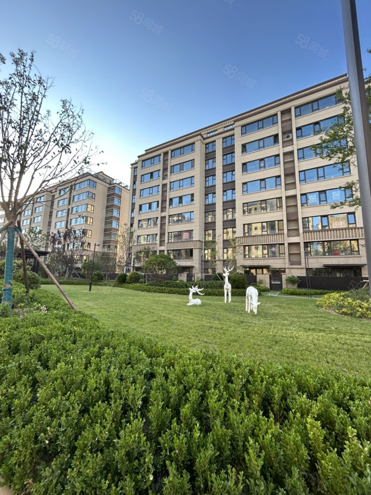 8平,三室双卫,兴业大连花园6期(南区)-日照58同城