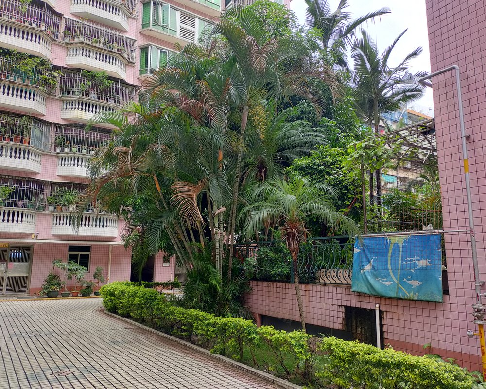 【金美花园, 金美花园小区详情,房价走势,房源,业主论坛】- 汕头58