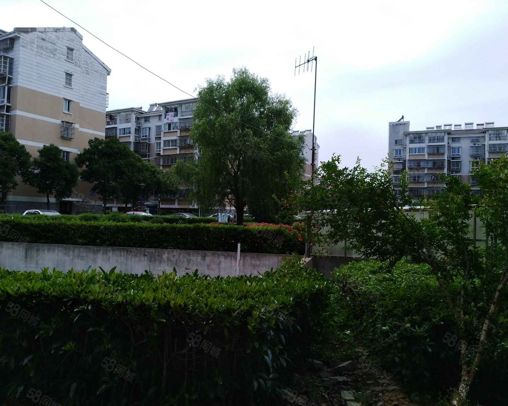 【逸翠园, 逸翠园小区详情,房价走势,房源,业主论坛】- 镇江58同城