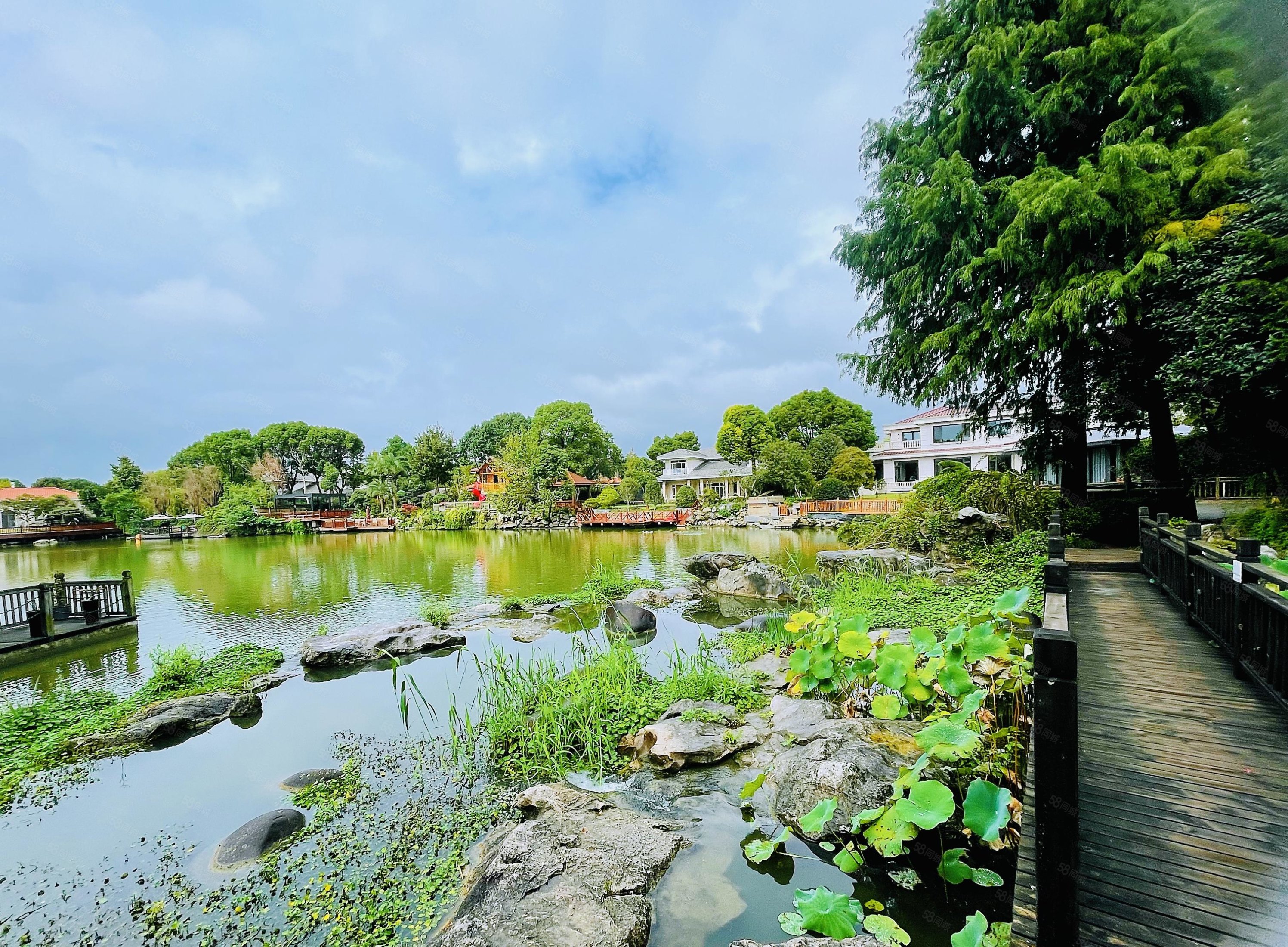 西郊九溪十八岛7室4厅6卫435.31㎡南北2500万