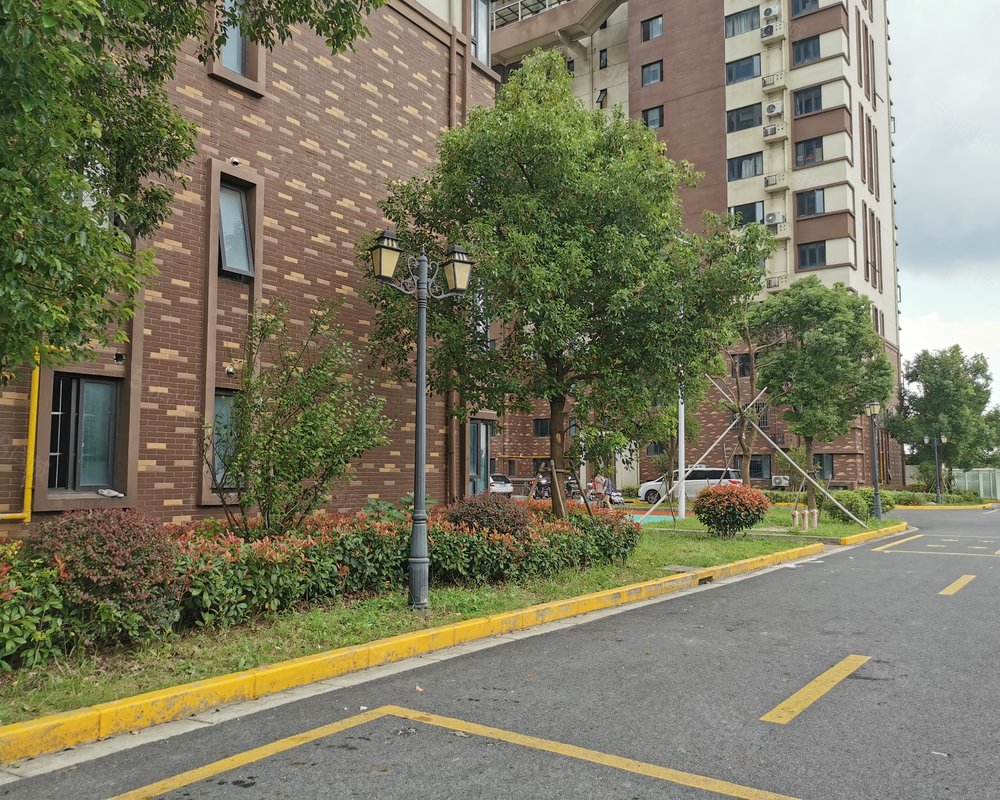 【青港丽苑, 青港丽苑小区详情,房价走势,房源,业主论坛】- 上海58