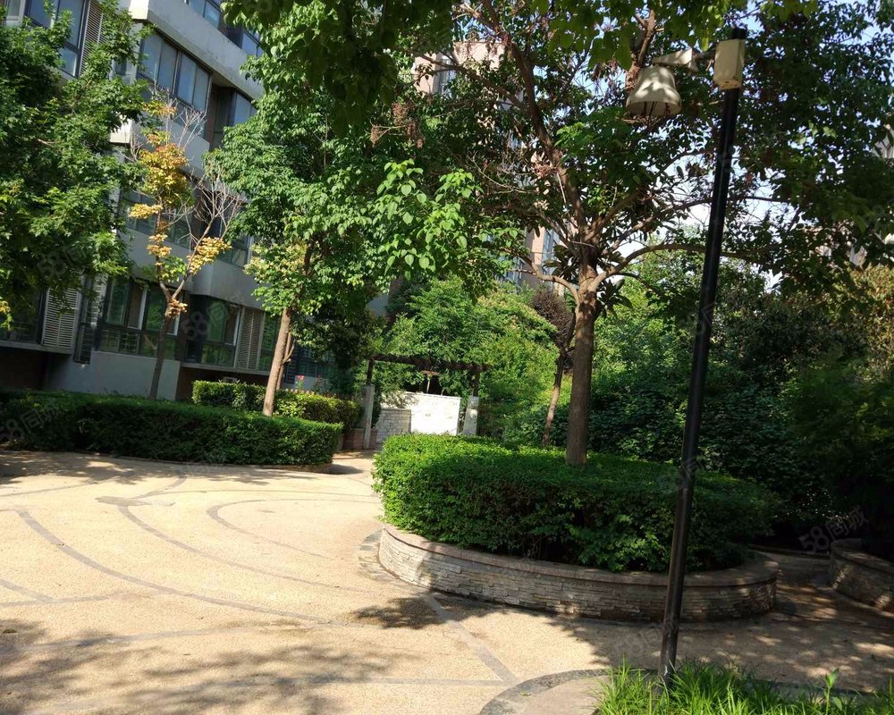 【西雅图, 西雅图小区详情,房价走势,房源,业主论坛】- 郑州58同城