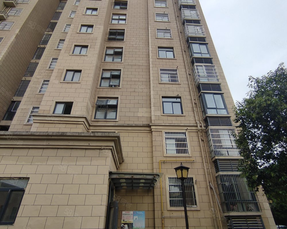 安居苑西区界首