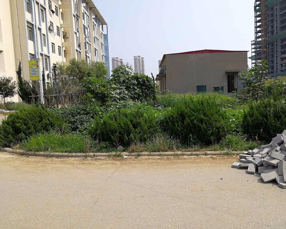 【常青藤, 常青藤小区详情,房价走势,房源,业主论坛】- 烟台58同城