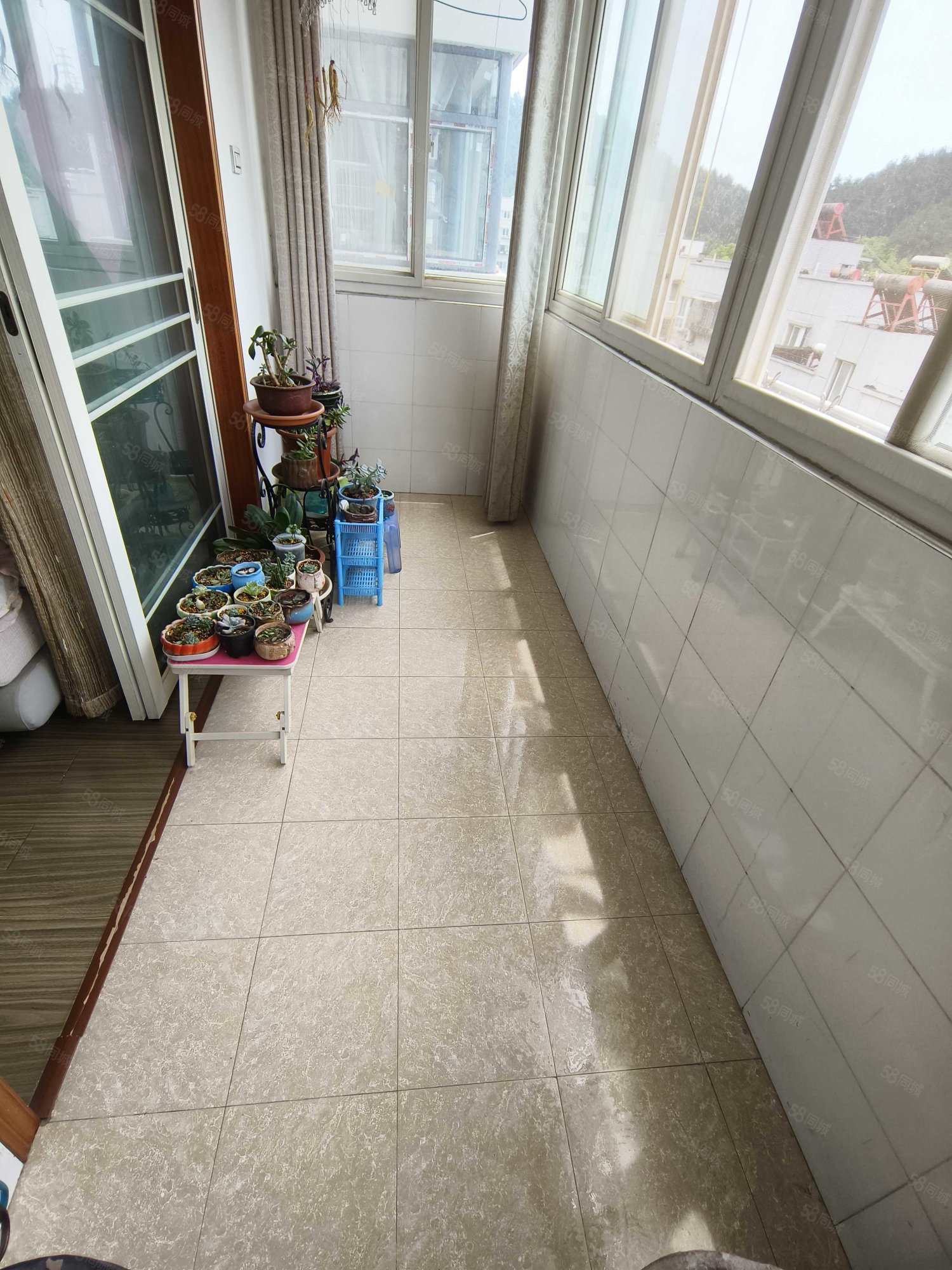 新西苑小区2室2厅1卫101㎡南北23.8万