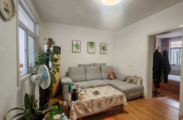 老文轩出校门进家门 多层精装修有储藏室免大税 拼手速手慢无