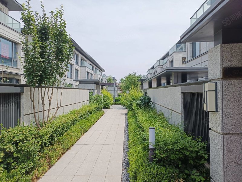 城北绿城桃李春风别墅带前后院   随时看房