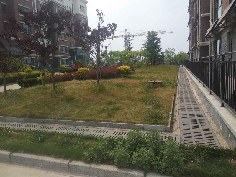 阳光丽景(蓬莱)