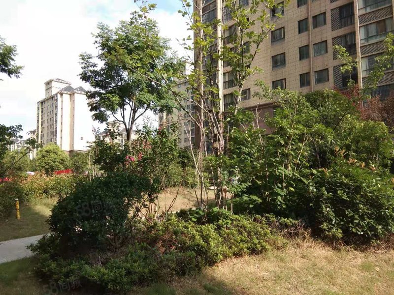 水韵东方2室中层纯毛坯急售 户型超正 环境好 物业好邻公园悦