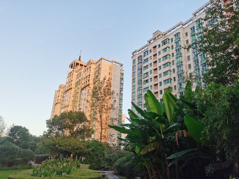 万邦都市花园2室1厅1卫85.05㎡南北650万