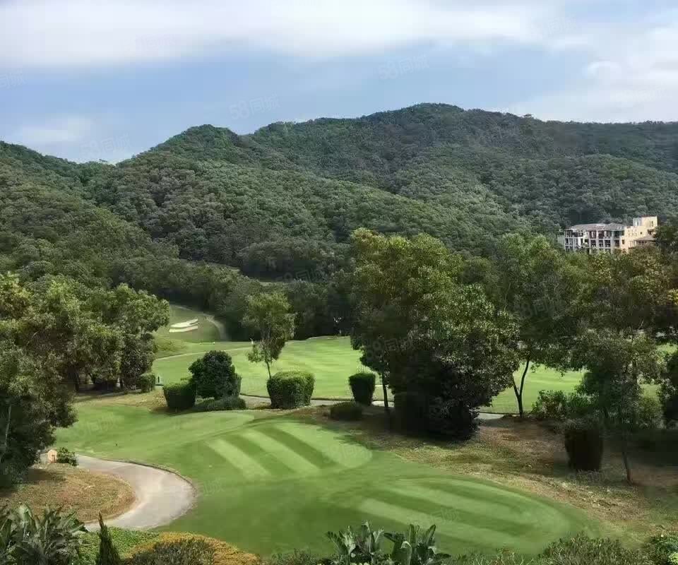 观澜湖君悦山别墅图片