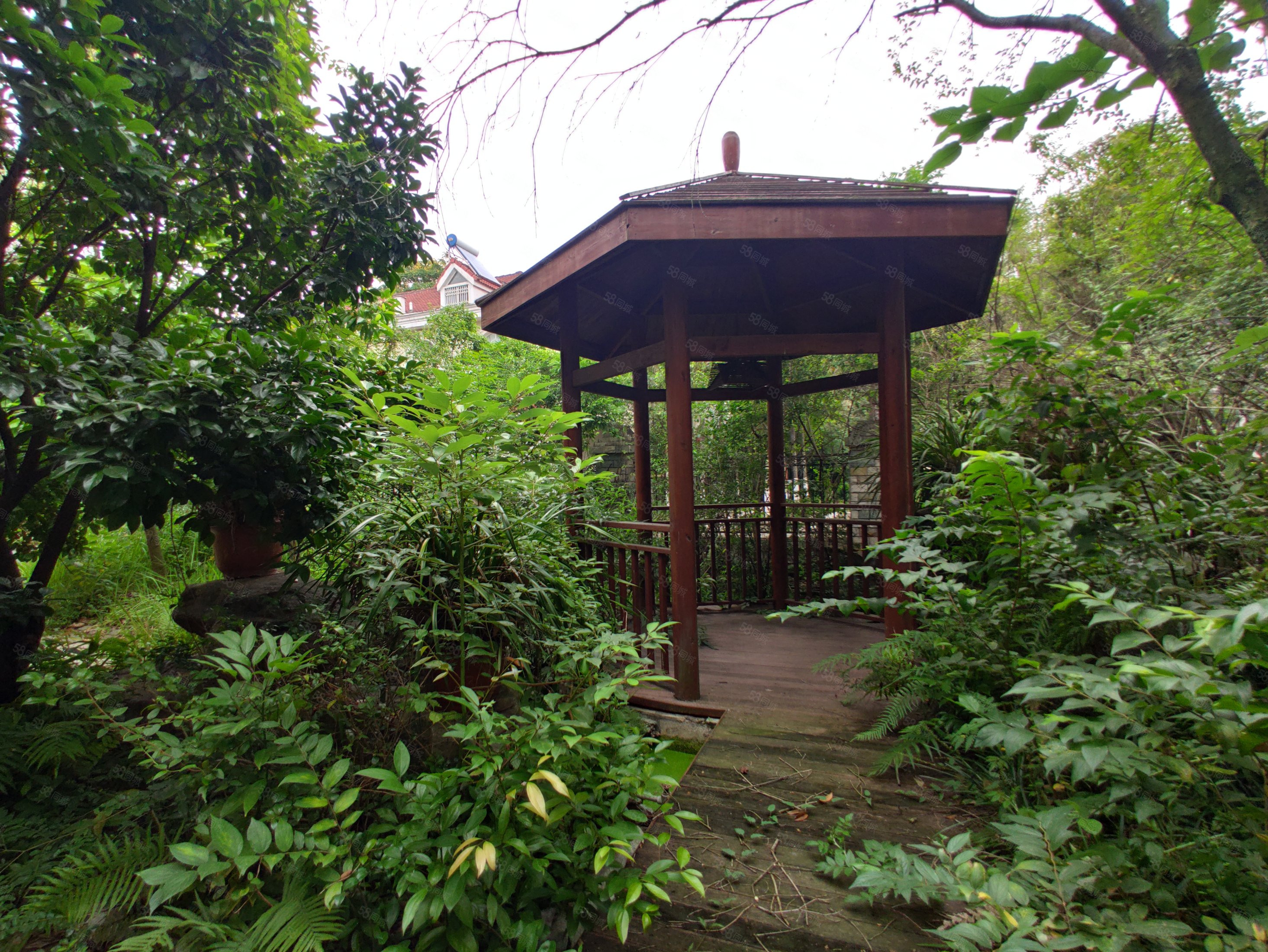 富临山庄5室2厅3卫283㎡南北580万