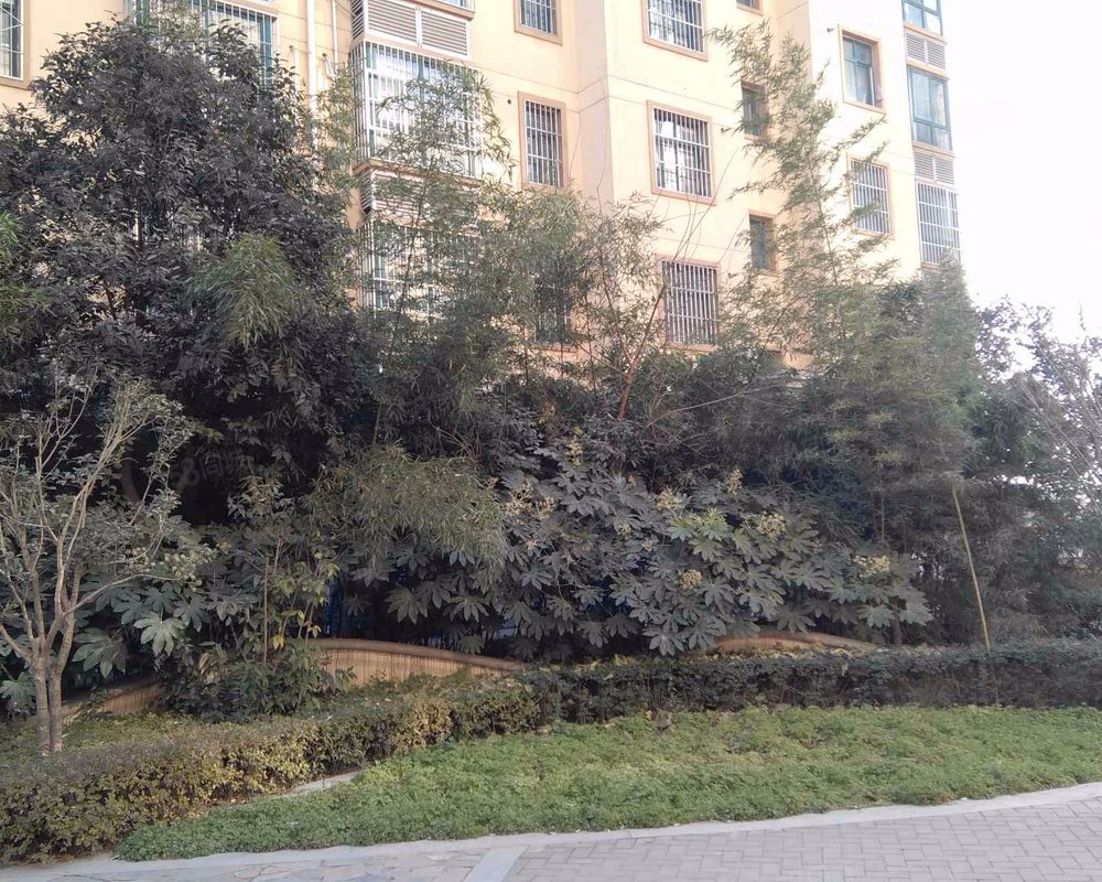 【地中海花园, 地中海花园小区详情,房价走势,房源,业主论坛】- 咸阳