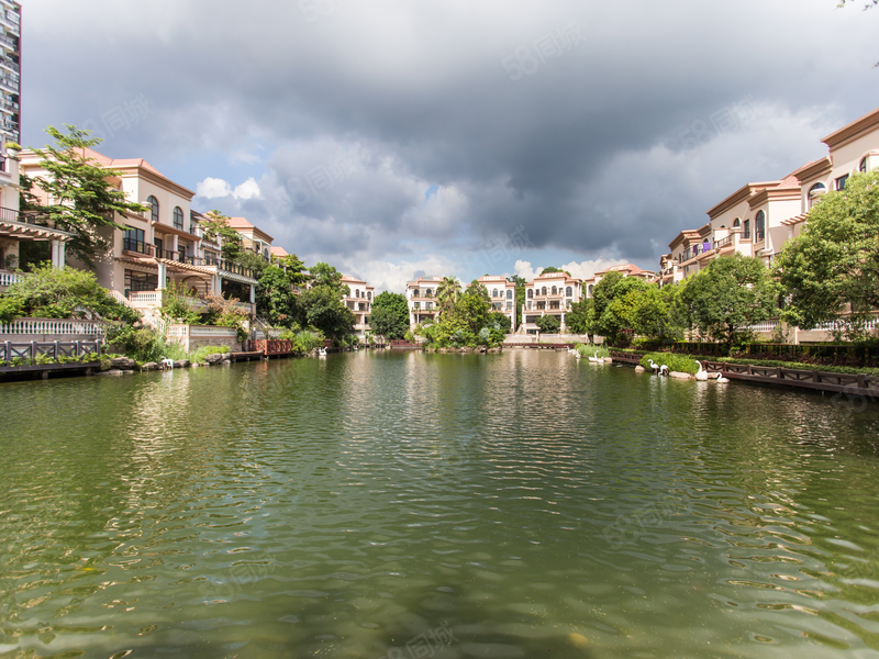 龙岸花园,别墅式的小区,环境优美,适宜居家