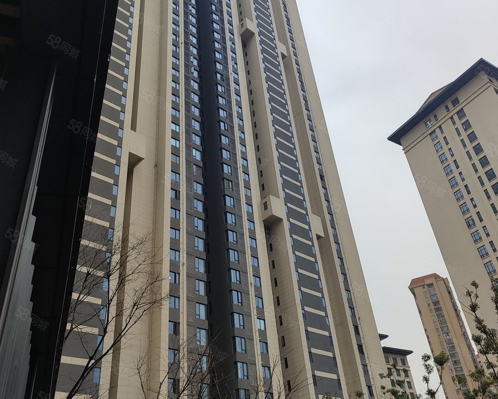 保利大都会尚湖小区详情,房价走势,房源,业主论坛】- 武汉58同城